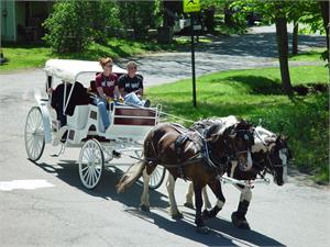 Presidential Carriage 2